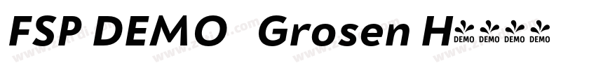 FSP DEMO   Grosen H字体转换